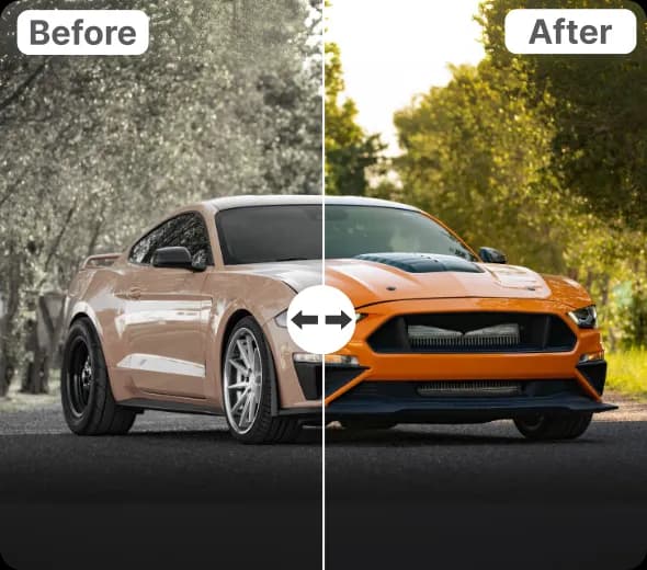 Transform Your Image’s Colors Instantly with AI Precision