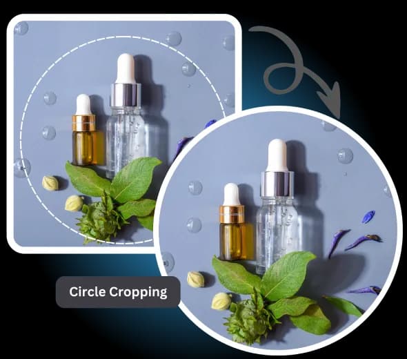 Circle Crop Image for Professional & Social Media Use